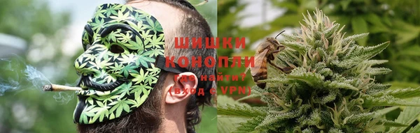 дживик Абаза