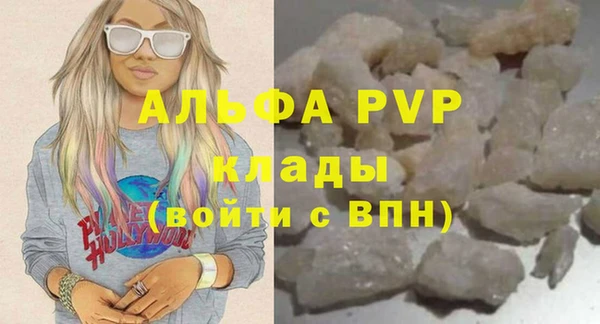 дживик Абаза