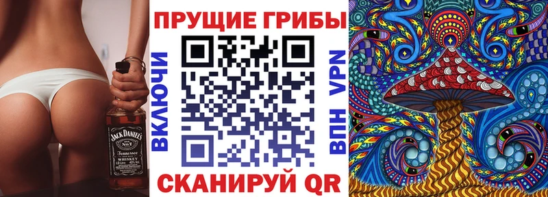 Псилоцибиновые грибы Psilocybe где можно купить Сарапул