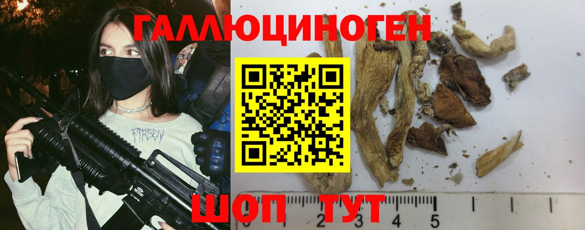 Галлюциногенные грибы Psilocybe  Вход с VPN  Сарапул 